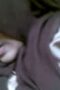 9cdede5e708a5e31171263c0d3ab9412.jpeg